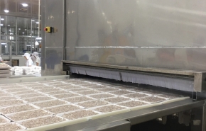 Băng Chuyền Cấp Đông Nhanh IQF