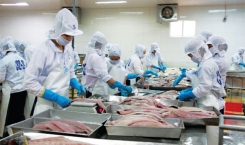 Doanh nghiệp cần rà soát triệt để nguyên liệu hải sản